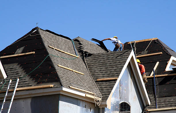 Best Roof Insulation Installation  in Custer, SD